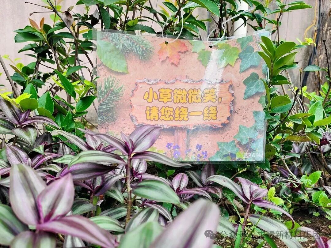 迎国庆护环境，共谱绿色厂区新篇